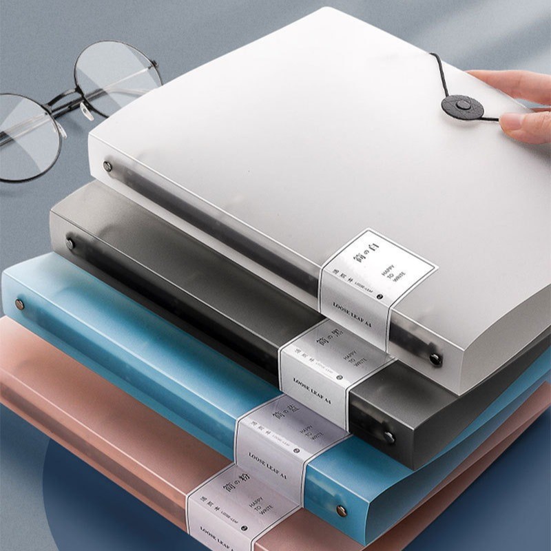 Carpeta de Anillas con Perfora - Binder A4 Lever reseña y precio