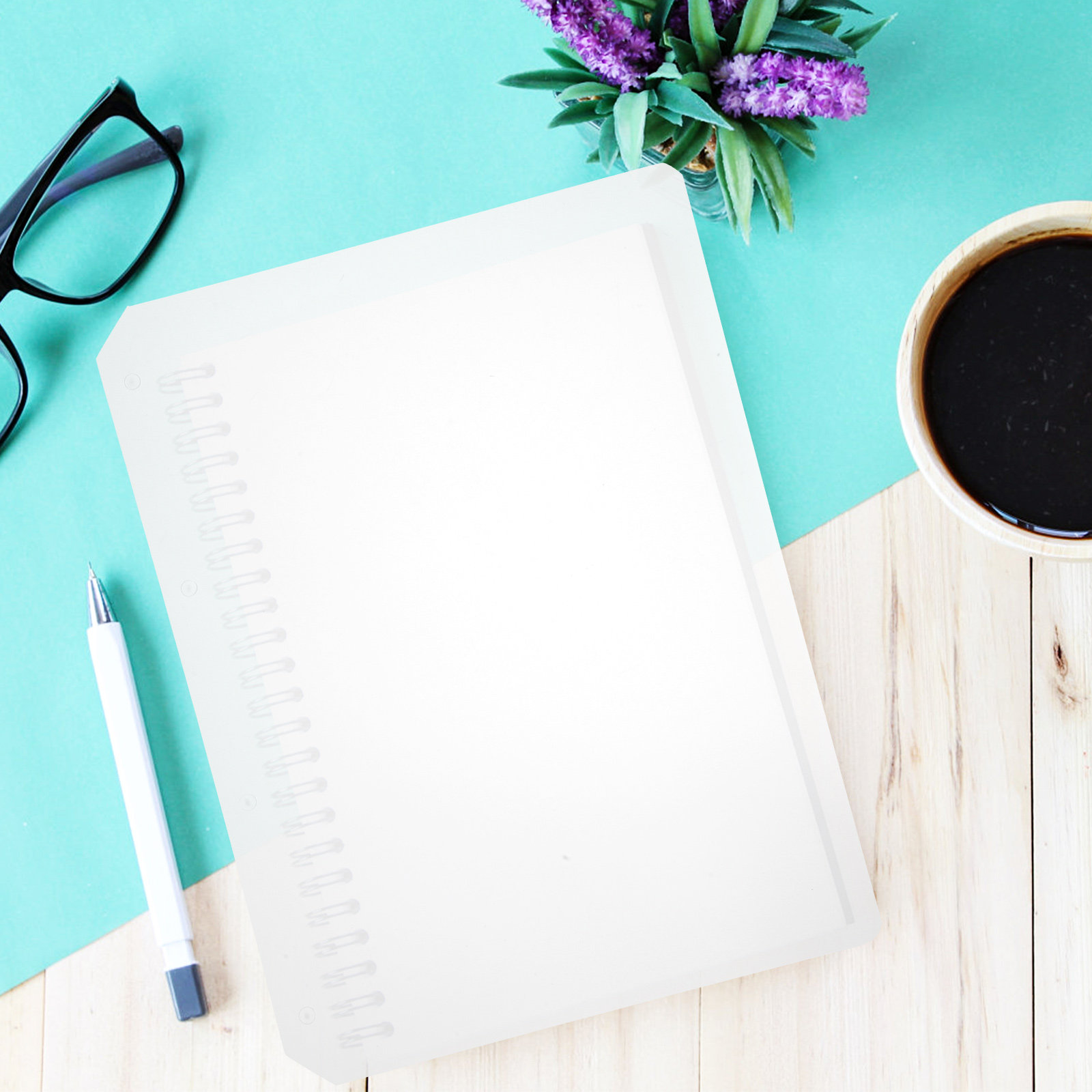 Separadores de cuaderno A4, se - Tab Divider A4 reseña y precio