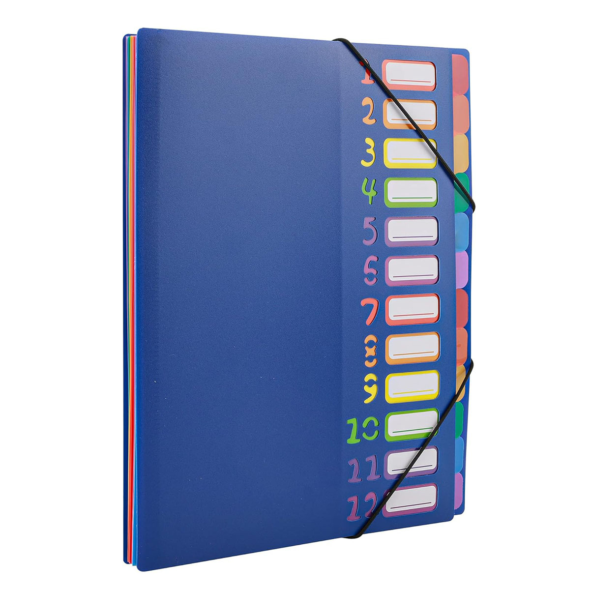 Carpeta de archivos expandible - Tab Divider A4 reseña y precio